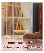 12 Ngành Luật Của Việt Nam