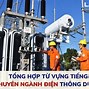 Bậc Nhất Trong Tiếng Anh Là Gì