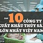 Công Ty Xuất Khẩu Thanh Long Lớn Nhất Việt Nam