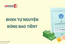 Đóng Bảo Hiểm Xã Hội Tự Nguyện Bao Nhiêu Năm Được Hưởng Lương Hưu