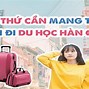 Những Thứ Cần Mang Theo Khi Đi Du Học