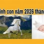 Sinh Con Năm 2026 Tháng Nào Thì Tốt