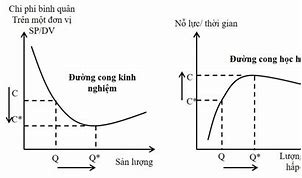 Tính Kinh Tế Theo Phạm Vi